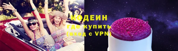 сатива Ельня