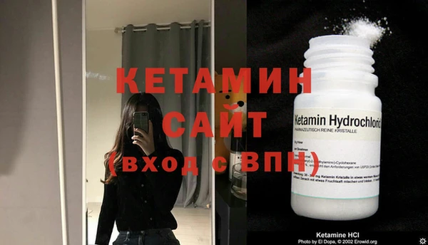 сатива Ельня