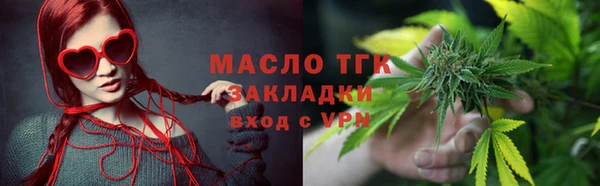сатива Ельня