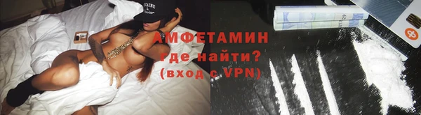 сатива Ельня