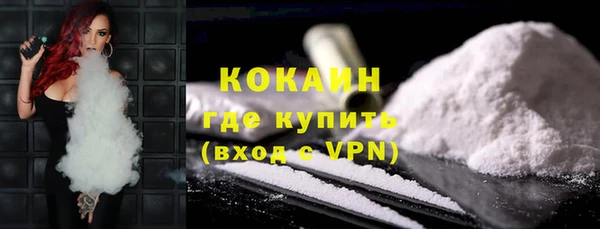 сатива Ельня