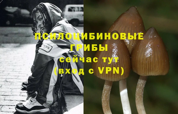 мяу мяу кристалл Елабуга