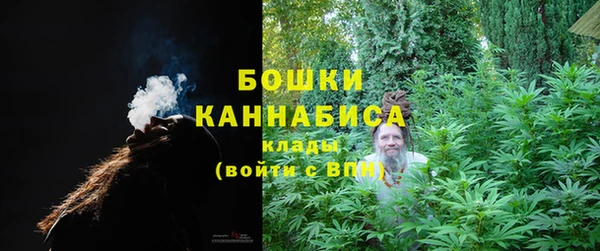сатива Ельня