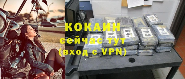 сатива Ельня