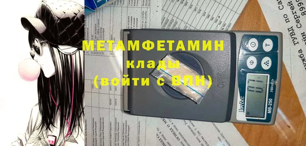 сатива Ельня