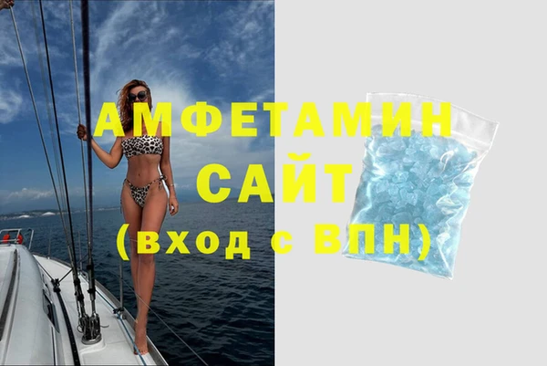 сатива Ельня