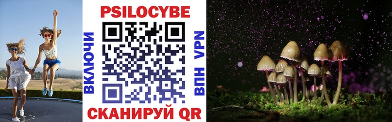 Купить где Торжок Псилоцибиновые грибы Cubensis